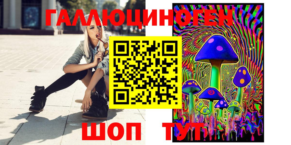 Алексеевка  Галлюциногенные грибы MAGIC MUSHROOMS  Вход с VPN  Псилоцибиновые грибы Cubensis 