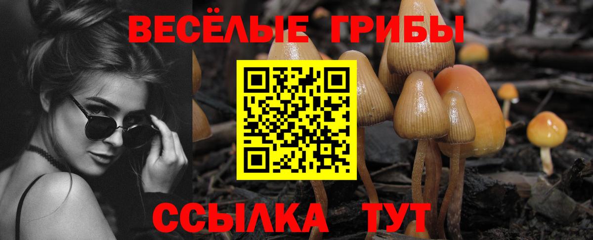 Галлюциногенные грибы мухоморы Алексеевка